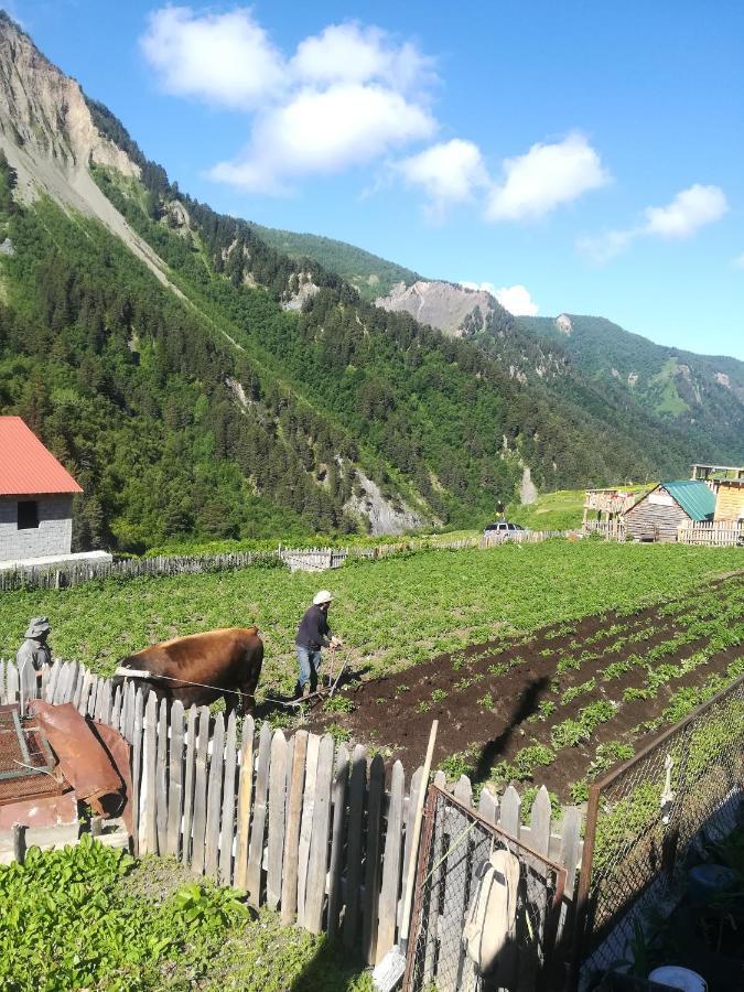 Guest House Elisabeth Адиши Экстерьер фото